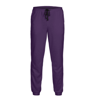 Мужские Спортивные штаны BTS логотип фиолетовый