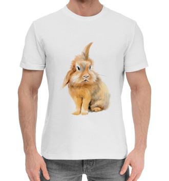 Мужская Хлопковая футболка Рыжий кролик